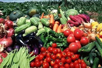 廣東人民最關(guān)心的十個(gè)食品藥品安全問(wèn)題，答案都在這里！——聚焦食用農(nóng)產(chǎn)品